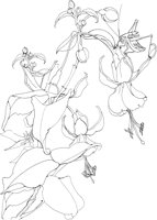 OFD043A.TIF