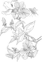 OFD042A.TIF