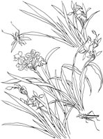OFD041A.TIF