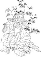 OFD040A.TIF