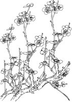 OFD039A.TIF