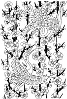 OFD035A.TIF