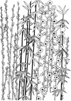 OFD031A.TIF