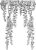 OFD028A.TIF