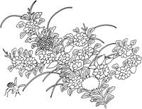 OFD021A.TIF