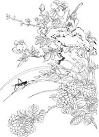 OFD017A.TIF