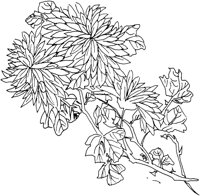 OFD016D.TIF