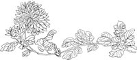 OFD016C.TIF