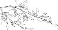 OFD016A.TIF