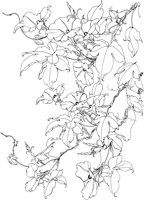 OFD015A.TIF