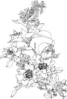 OFD014A.TIF