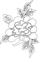 OFD013E.TIF