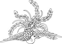 OFD013D.TIF