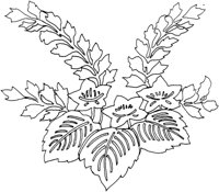 OFD013C.TIF