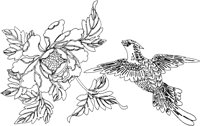 OFD012C.TIF