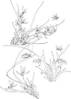 OFD010A.TIF