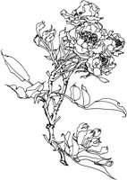 OFD009D.TIF