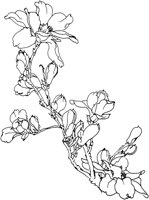 OFD009A.TIF