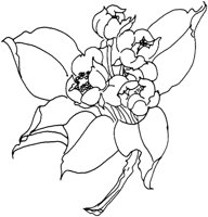 OFD008E.TIF