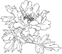 OFD008D.TIF