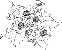 OFD008C.TIF