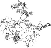 OFD008A.TIF
