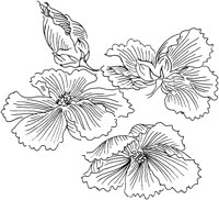 OFD007F.TIF