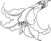 OFD007E.TIF
