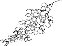 OFD007D.TIF