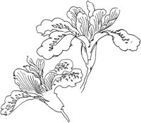 OFD007C.TIF