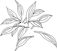 OFD007A.TIF