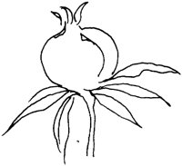 OFD006F.TIF