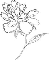 OFD006E.TIF