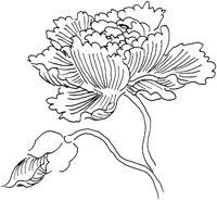 OFD006D.TIF