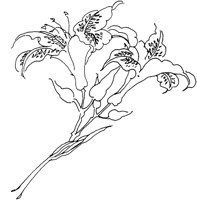 OFD006C.TIF