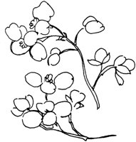 OFD006A.TIF