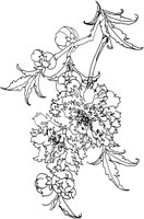 OFD005C.TIF