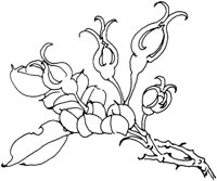 OFD004E.TIF