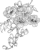 OFD004D.TIF