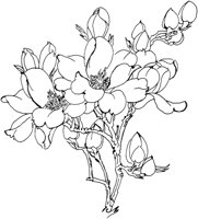 OFD004C.TIF