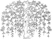 OFD000A.TIF