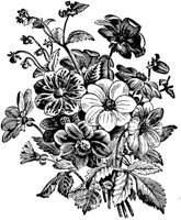 PLF091C.TIF