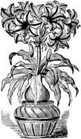 PLF091A.TIF