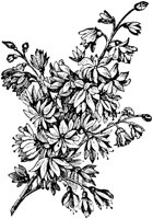 PLF090G.TIF