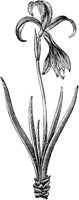 PLF090E.TIF