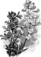 PLF090A.TIF