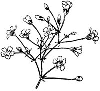 PLF089F.TIF