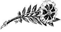 PLF089E.TIF