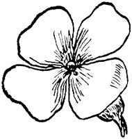 PLF088D.TIF