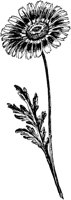 PLF087G.TIF